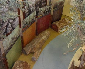 Barmah Forest Heritage And Education Centre - Accommodation Bookings 4