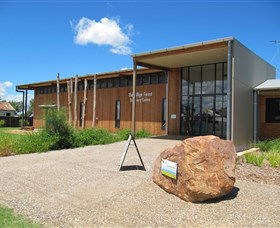 Pilliga Forest - Accommodation Bookings 0