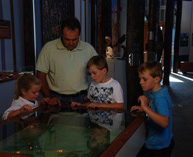 Pilliga Forest - Accommodation Bookings 1
