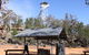 Pilliga Forest - thumb 2