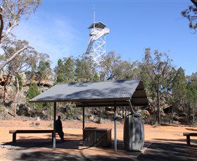 Pilliga Forest - Accommodation Bookings 2