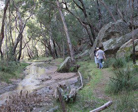 Pilliga Forest - Accommodation Bookings 3