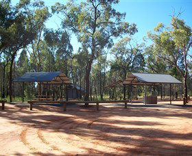 Pilliga Forest - Accommodation Bookings 6