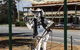 Barellan Museum - thumb 0