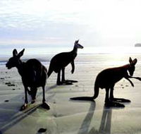 Hibiscus Coast - Accommodation Bookings