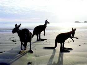 Hibiscus Coast - Accommodation Bookings 0