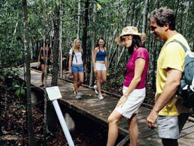 Hibiscus Coast - Accommodation Bookings 3