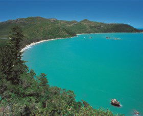 Hibiscus Coast - Accommodation Bookings 2
