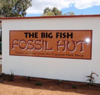 Big Fish Fossil Hut at Peak Hill - Accommodation Bookings