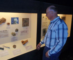 Big Fish Fossil Hut At Peak Hill - Accommodation Bookings 1
