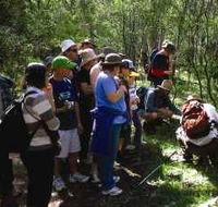 Warrumbungle National Park Discovery Program - Accommodation Bookings
