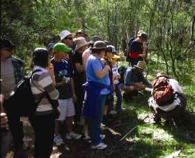 Warrumbungle National Park Discovery Program - Accommodation Bookings 0