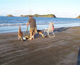 Cape Hillsborough National Park - Accommodation Bookings 0
