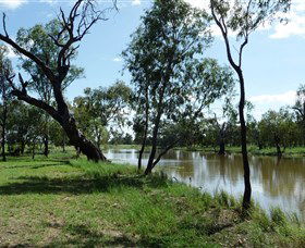 Seplin Estate Wines - Accommodation Bookings 1