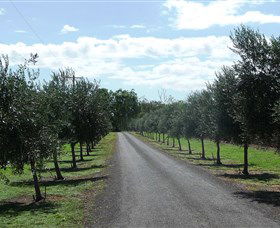 Seplin Estate Wines - Accommodation Bookings 3