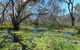 Macquarie Valley Trails - thumb 0
