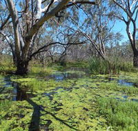 Macquarie Valley Trails - Accommodation Bookings