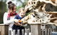 Taronga Western Plains Zoo, Dubbo - thumb 0