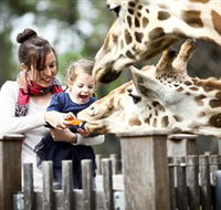 Taronga Western Plains Zoo Dubbo - Accommodation Bookings