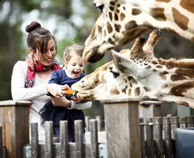 Taronga Western Plains Zoo, Dubbo - Accommodation Bookings 0