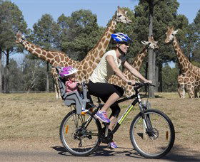 Taronga Western Plains Zoo, Dubbo - Accommodation Bookings 2
