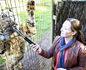 Taronga Western Plains Zoo, Dubbo - Accommodation Bookings 3