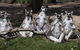 Savannah Visitor Plaza, Taronga Western Plains Zoo Dubbo - thumb 0