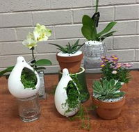 Cobram Florist - Accommodation Bookings