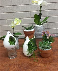 Cobram Florist - Accommodation Bookings 0