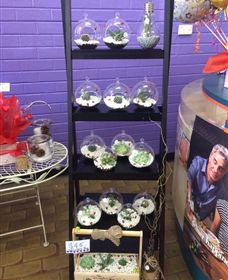 Cobram Florist - Accommodation Bookings 3