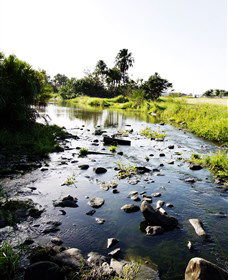 Gooseponds, North Mackay - Accommodation Bookings 3