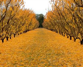  Accommodation Bookings