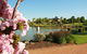 Dubbo Regional Botanic Gardens - thumb 2