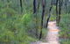 Sculptures In The Scrub Walking Track - thumb 1