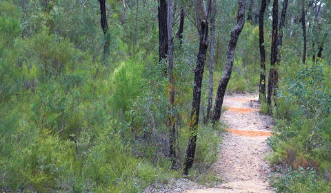 Sculptures In The Scrub Walking Track - Accommodation Bookings 1