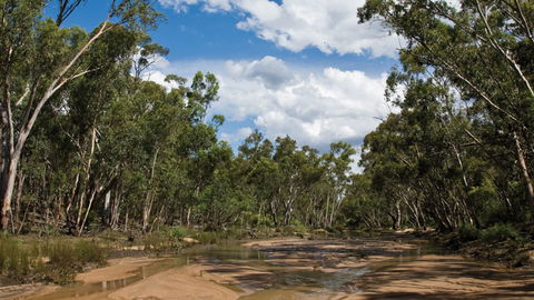 Pilliga National Park - Accommodation Bookings 2