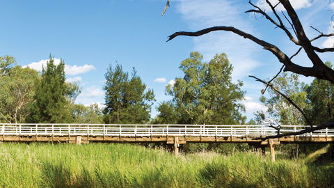 Pilliga National Park - Accommodation Bookings 3