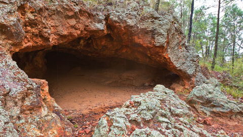 Pilliga National Park - Accommodation Bookings 1