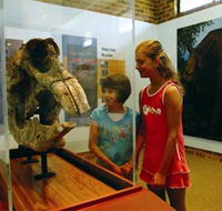 Australian Museum Diprotodon Exhibition - Accommodation Bookings