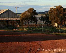 Sunshine Iris Nursery - Accommodation Bookings 1