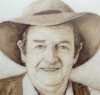Doris Golder Wool Art Gallery - Accommodation Bookings