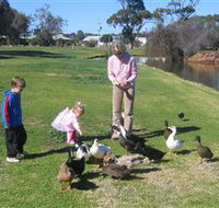 Roy Little Park Merredin - Accommodation Bookings