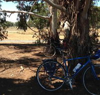 Murchison Rail Trail - Accommodation Bookings