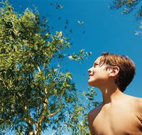 Bushwalking on Keswick Island - Accommodation Bookings