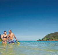 Snorkelling on Keswick Island - Accommodation Bookings