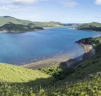 The Cremer Shipwreck Dive Site - Keswick Island - Accommodation Bookings