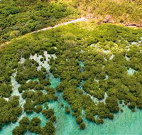 The Singapore Shipwreck Dive Site - Keswick Island - Accommodation Bookings