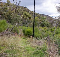 Lynchs loop trail - Accommodation Bookings
