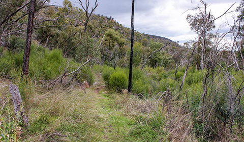 Lynchs Loop Trail - Accommodation Bookings 0