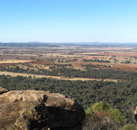 Basin Gully to Eualdrie lookout track - Accommodation Bookings